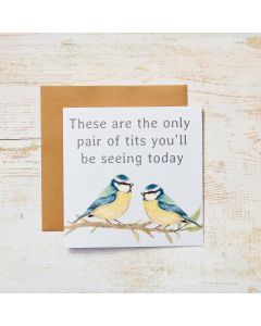 BLUE TITS HUMOUR CARD WITH BIRDS ON BRANCH