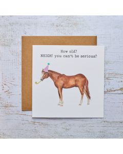 NEIGH HOW OLD BIRTHDAY HUMOUR CARD WITH HORSE & PARTY HAT