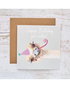 OSTRICH BIRTHDAY CARD NUTTER WITH PARTY HAT