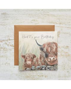 DOUGAL HIGHLAND COW HERD ITS YOUR BIRTHDAY CARD WITH STONE WALL