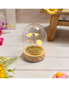 BRIGHT AND BEAUTIFUL GLASS EGG DOME WITH 3 DAISIES LED ORNAMENT