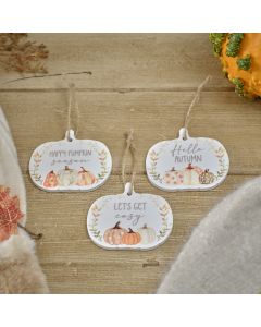 HARVEST PUMPKIN RAISED PATTERN HANGING CERAMIC PUMPKIN 3 ASSTD