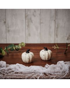 MONOCHROME PUMPKIN SALT & PEPPER SET+++