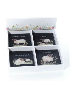 WELSH SHEEP 4 ASSTD SLATE COASTER WITH TRAY 24