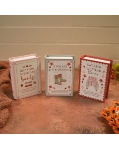 COSY CHAPTER WOOD BOOK BOX 3 ASSTD DESIGN