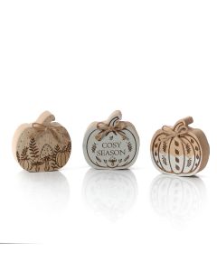 ETCHED WOOD SHAPED PUMPKIN BLOCK 3 ASSTD+