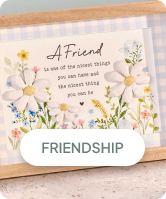 Friendship